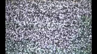 econoline - There Ain't  Shit On T.V. Tonight