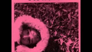 Steward - Hey Leopard