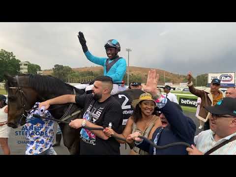 THE ALLIED STEELRODE CHARITY MILE REFLECTION.The horses are the music and we say THANK YOU ABBA.