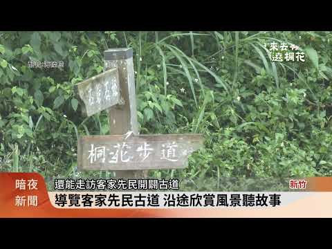 芎林清澗賞桐趣 公所推10條小旅行路線