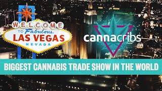 Biggest Cannabis Trade Show In The World!
