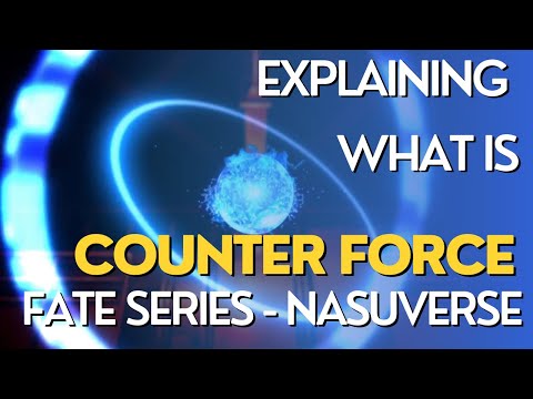 Explaining Who is Counter Force? - FATE SERIES (NASUVERSE)