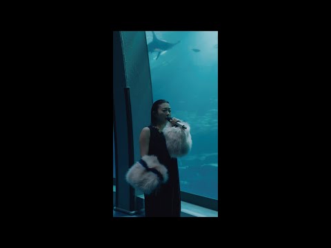 Hikaru Utada | Somewhere Near Marseilles - LIVE at Sea Paradise