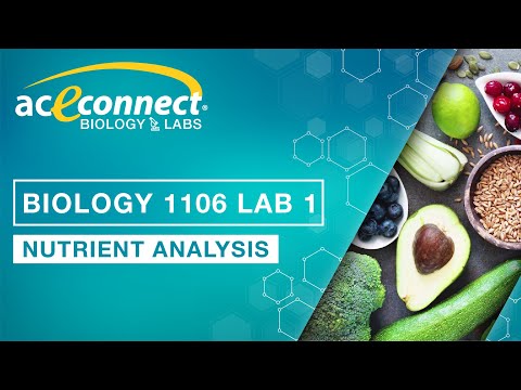 Biology 1106 Lab 1 || Nutrient Analysis
