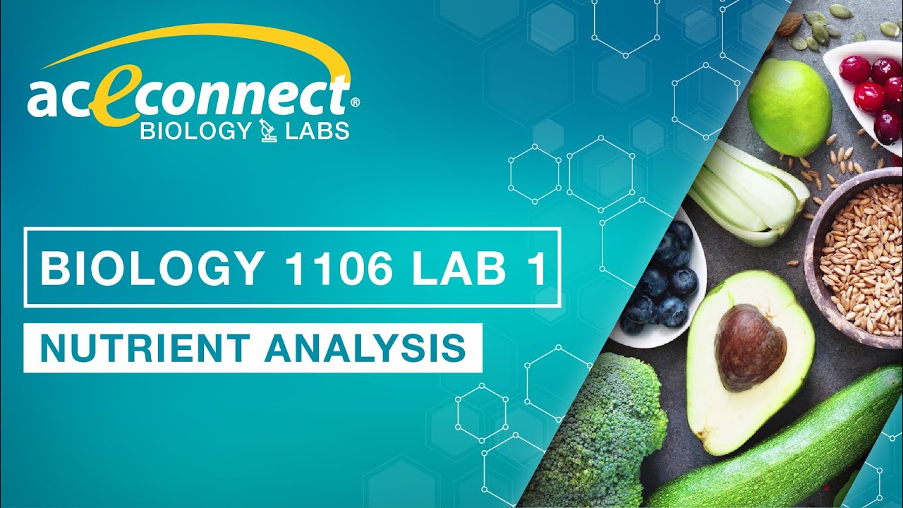 Biology 1106 Lab 1 || Nutrient Analysis
