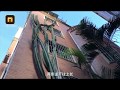 Wow This Cactus Grows As Tall As A 5 Story Building
