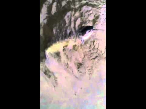 Edo and elvir fishing 2