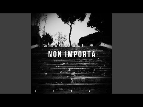 Non Importa