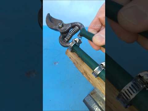 A Great Tips and Tricks to Upgrade Your Old Pruning Shears for Cutting Tall Branches #diy #gardening