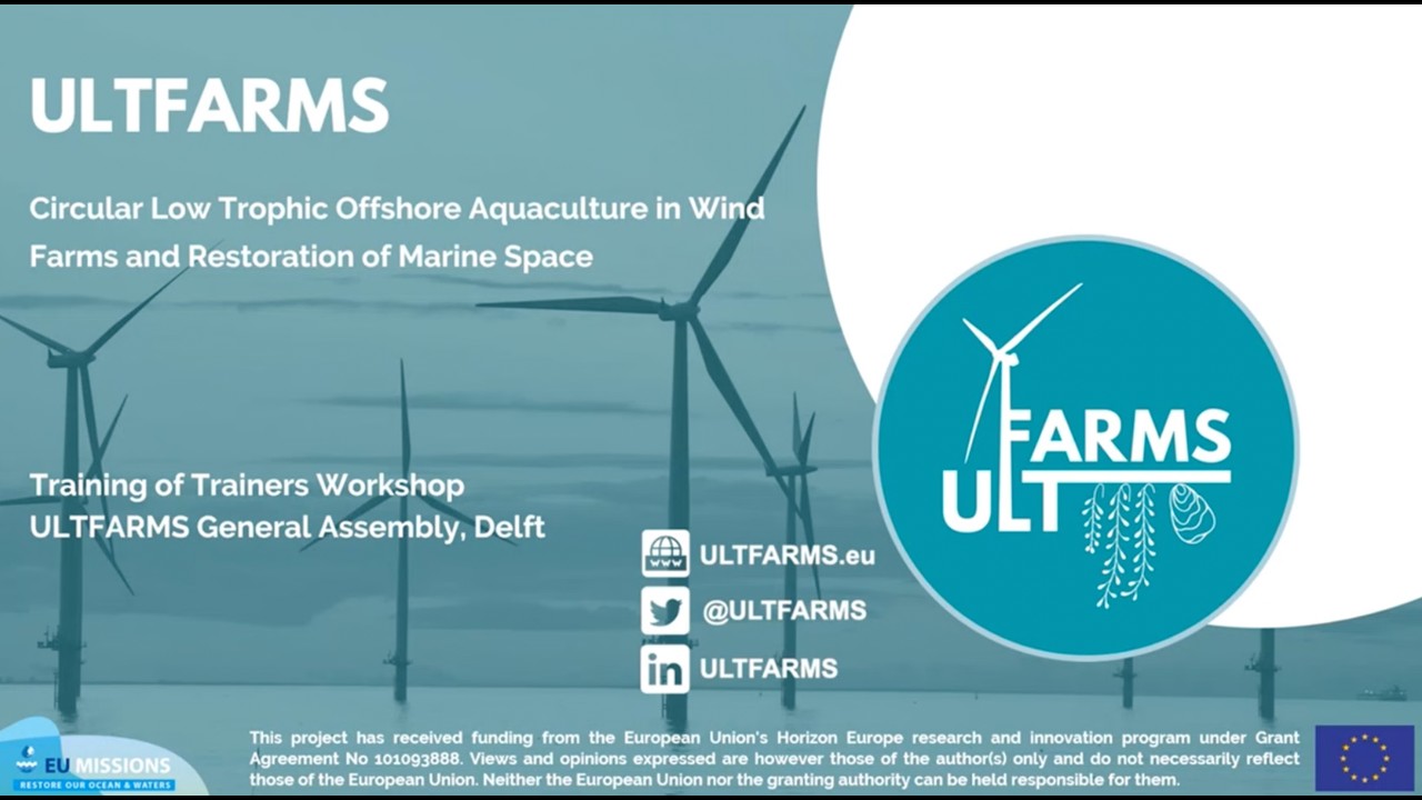 EU MSP Directive in the Context of Low-Trophic Aquaculture in Offshore Wind Farms
