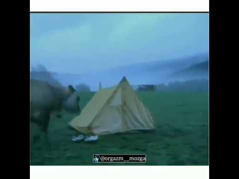 Куда пропала моя обувь?!