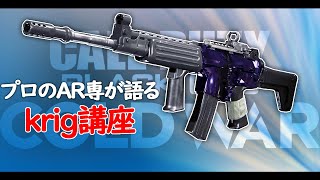 【COD:BOCW】プロのAR専が語るkrig講座