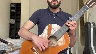 Mike Oldfield - On Horseback (acoustic guitar part)