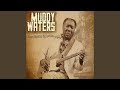 The Red Rooster (feat. Howlin' Wolf, Bo Didley) - Muddy Waters - Topic The Red Rooster (feat. Howlin' Wolf, Bo Didley)