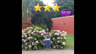 Gay Travel Guide: Istanbul, Turkey