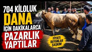 704 Kiloluk Dana İçin Dakikalarca Pazarlık Yaptılar