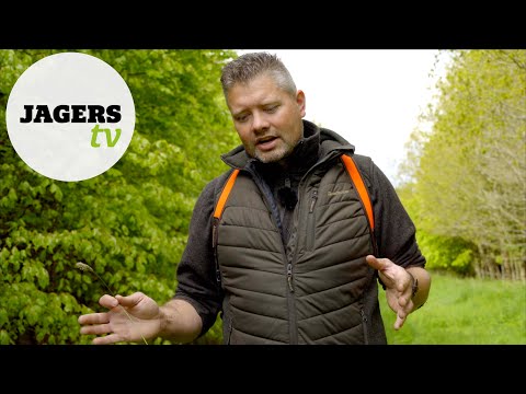 JagersTV - Reebokken beheer