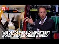 Sam van Rooy (Vlaams Belang) woedend na zien van beelden van geïmporteerd geweld in Europese steden