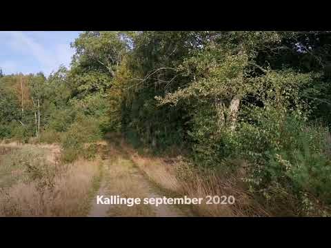 SISTA HUSET på LÖNNAMOVÄGEN i KALLINGE - 200915 - Kalleberga - RONNEBY (Selmas hus)