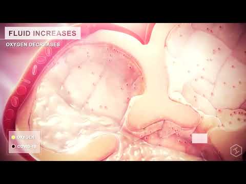 Dj sajrajt - Djsajrajt - 18.03.2020