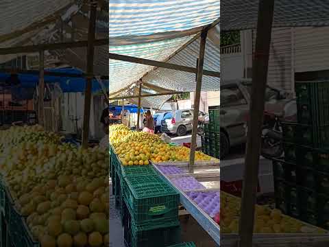 Vera Cruz São Paulo Brasil.
