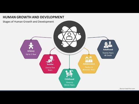 Human Growth and Development Animated PPT Slides