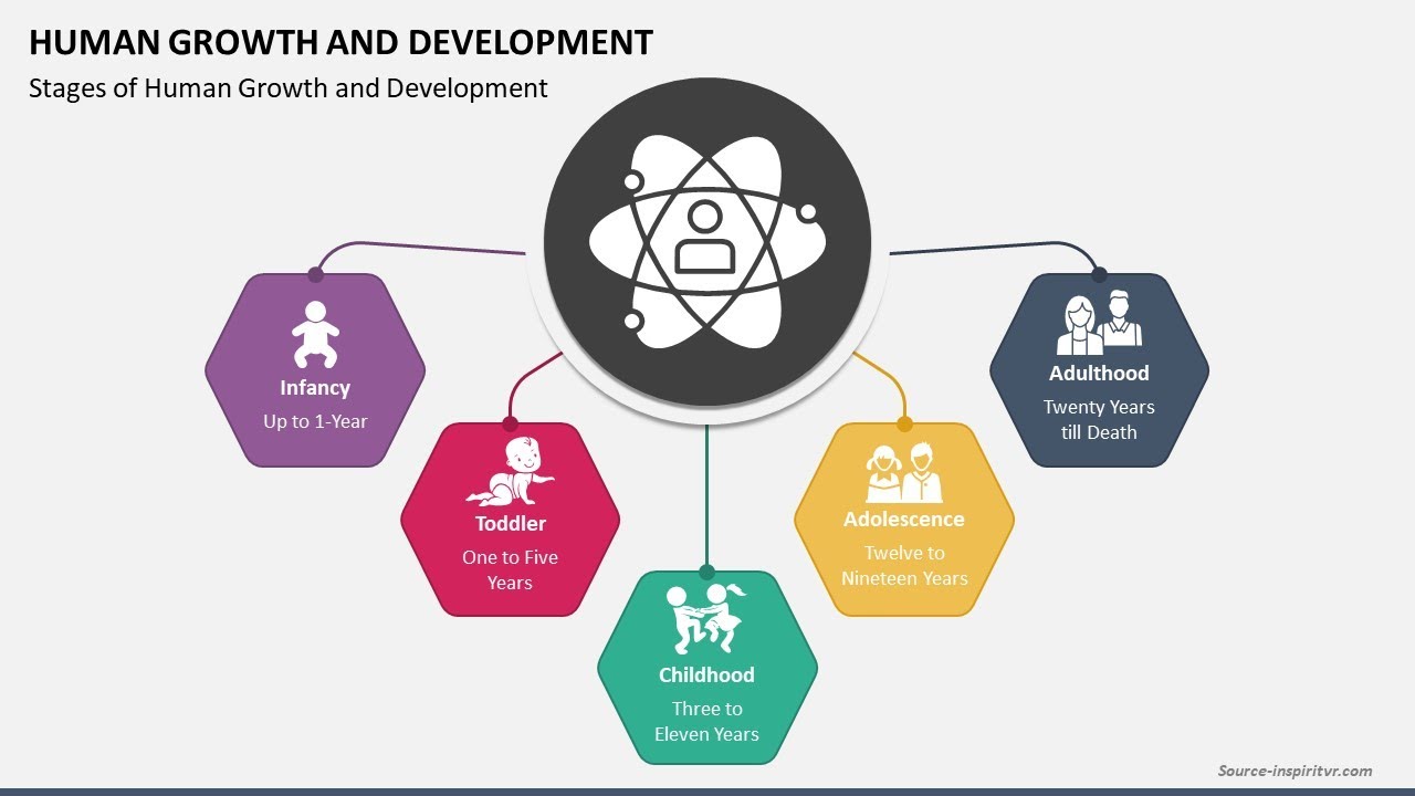 Human Growth and Development Animated PPT Slides