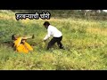 हरबऱ्याची चोरी Comedy Funny Dhoomdadaka