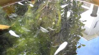 What is there to say by Rachel Gould