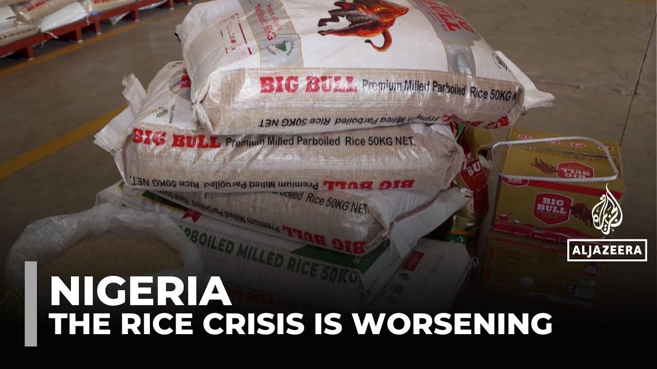 Nigeria rice production: output hits four year low on high costs and imports