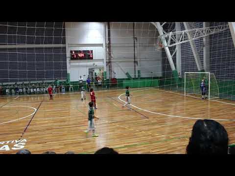 Palmeiras X Helvetia