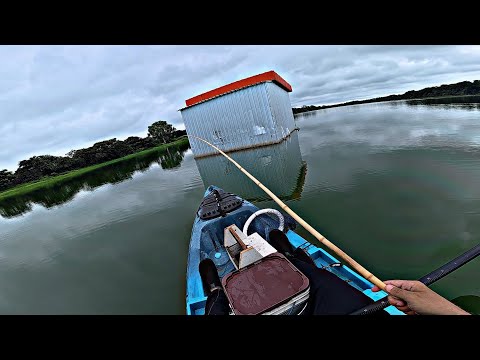 PESCARIA NO RIO TIETÊ! NÃO DAVA TEMPO DE JOGAR A ISCA QUE JA ATACAVA ERA UM ATRAS DO OUTRO 