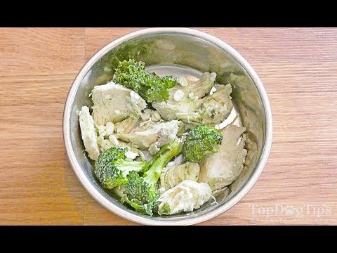 Homemade Dog Food for Cancer Recipe (Simple, 7 Ingredients)