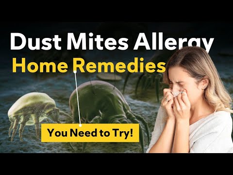 What are Dust Mite Allergies? Symptoms, Causes, Triggers and Prevention