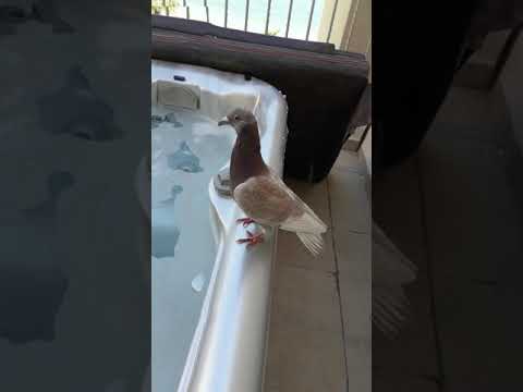 Kuwait city beach, 2 day vacation together my madam and here family.