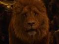 Lion - Rebecca St James- The Chronicles Of ...