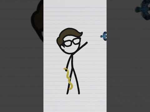 Quem voa mais rápido: um dragão ou um avião? #shorts
