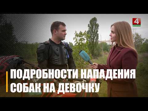 Стали известны подробности нападения бездомных собак на девочку в Гомеле видео