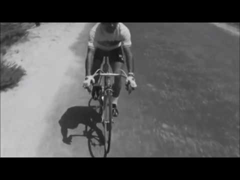 Matilde Pereira - Revolta feita saudade (tributo a Joaquim Agostinho)