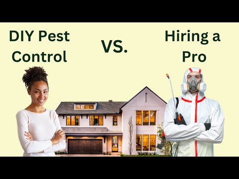 Why DIY Pest Control is Better Than Hiring a Professional