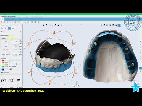 Maestro 3D | Webinar 17 December 2020