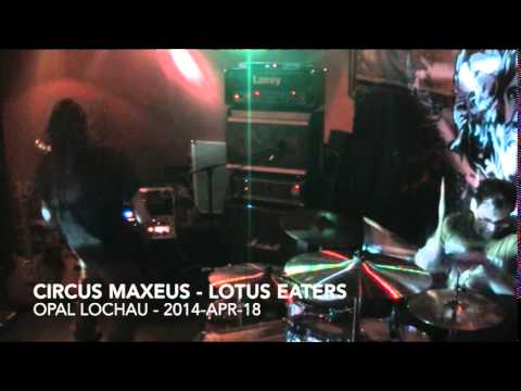 circus maxeus - lotus eaters