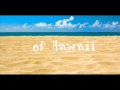 White Sandy Beach Of Hawaii~ Lyrics 