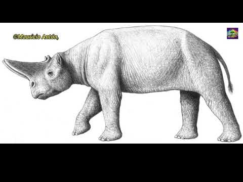 Arsinoitherium! : "Not a Rhino, Not an Elephant"