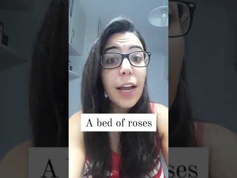 Como falar UM MAR DE ROSAS em inglês?