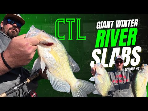CRAPPIE TALK LIVE (CTL) - HOW TO CATCH GIANT RIVER SLABS RIGHT NOW