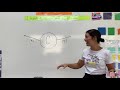 ELA Lesson 16 Tricky Spelling C