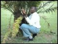 Ngwihitha Mathaguini Peter Muinami Chege PETANNS