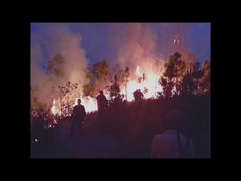 Pinar del Río en alerta máxima por riesgo de incendios forestales en 2026 // Noticias.lat
