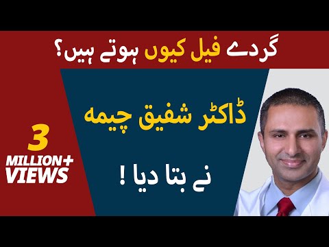 download lagu mp3 mp4 Dr Cheema, download lagu Dr Cheema gratis, unduh video klip Dr Cheema
